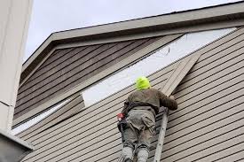 Best Insulated Siding Installation  in Menard, TX